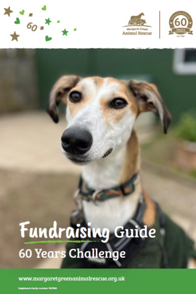 Fundraising Guide 2025